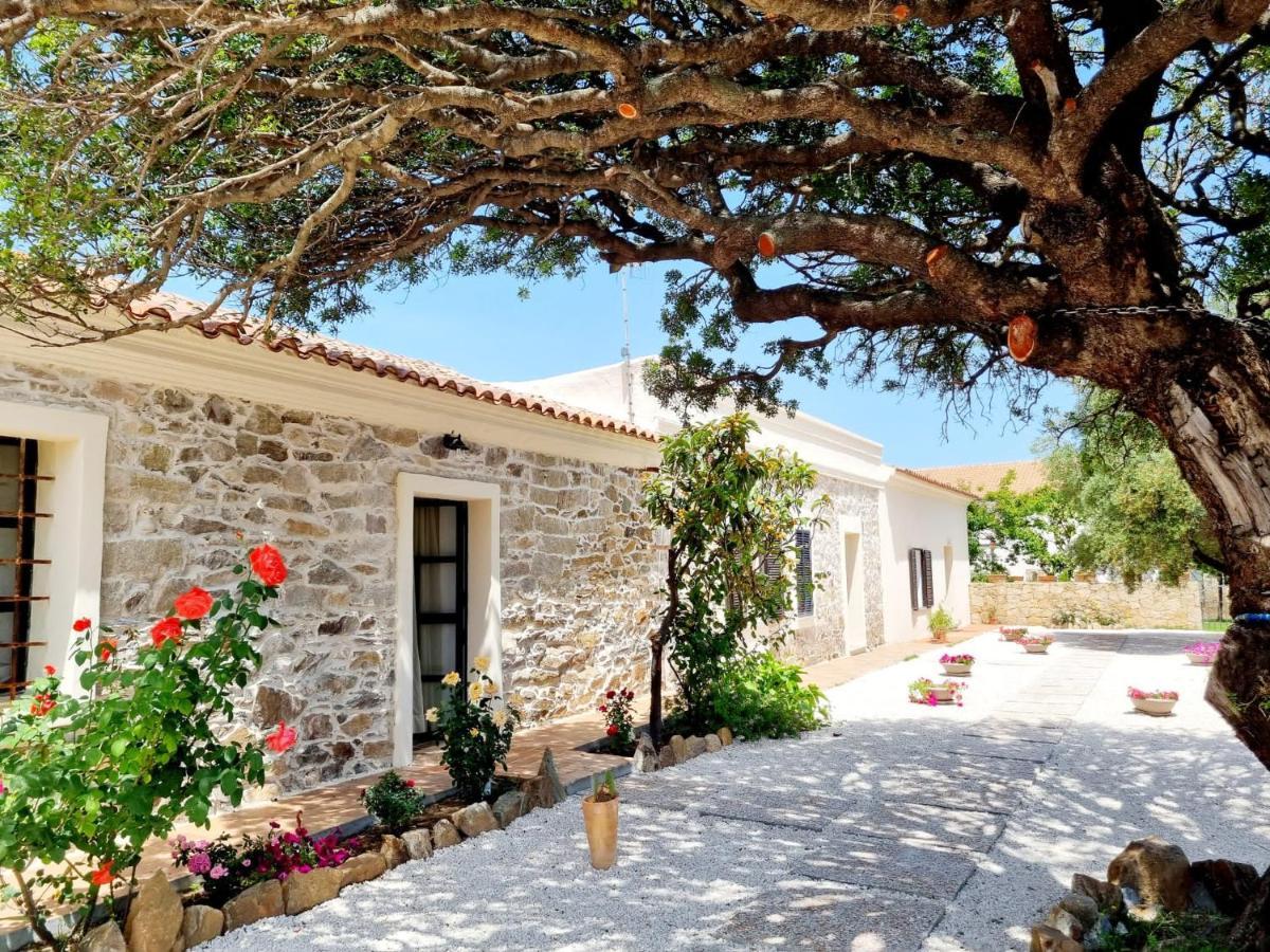 شقة Stazzo San Teodoro La Quercia Piscina Condivisa المظهر الخارجي الصورة